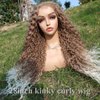 Blonde Curly Wigs For Women Kinky Curly Wig Synthetic Long Ombre Blonde Deep Wave Wigs Afro Wig Blonde To White Color Middle Part Natural Hair Wigs For African American Women Replacement Wigs Daily Wear (27/613,28inch)