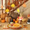 40pcs Thankgiving Day Party Supplies，Fall theme Paper Plates Napkins Give Thanks Turkey Party Birthday Decorations Favors for Kids Serves 20