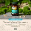 Gaia Herbs Respiratory Mushroom Blend - Immune Support Herbal Supplement to Help Maintain Overall Lung and Respiratory Health - WIth Reishi and Cordyceps* Mushrooms - 40 Vegan Capsules (40-Day Supply)