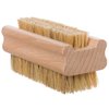 Redecker Natural Pig Bristle Nail Brush with Untreated Beechwood Handle, Set of 2, 3-3/4-Inches