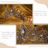 Florry Halloween Black Tiaras and Crowns Baroque Crystal Queen Crowns for Costume Festival Prom Wedding Tiara Bridal Hair Accessories for Women and Brides (Black)