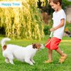 Depets 4PCs Dog Rope Toy, Assorted Puppy Rope Chew Toys, Durable Rope Knot Dog Toy, Puppy Teething Playing Toys for Small Dogs Puppies