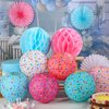 Riakrum 18 Pcs Donut Birthday Party Decorations Round Donut Lanterns Sprinkle Hanging Paper Lanterns Sweet Candy Honeycomb Balls Paper Fans for Ice Cream Birthday Party Decor Baby Shower Supplies