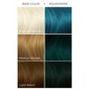 Arctic Fox x Arcane League of Legends Vegan and Cruelty Free Semi Permanent Hair Color Dye (5.6 Fl Oz, CAITLYN)