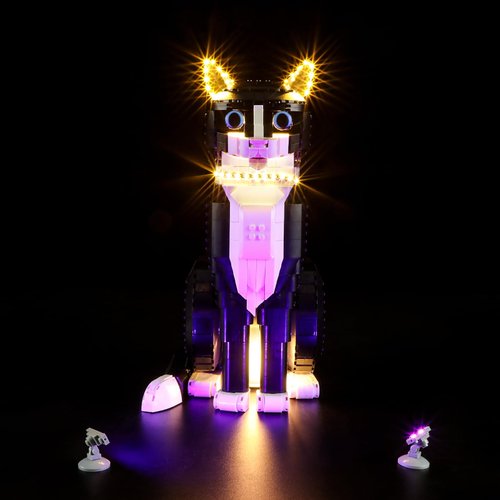 LIGHTAILING Light for Lego-21349 Tuxedo Cat - Led Lighting Kit Compatible with Lego Building Blocks Model - NOT Included The Model Set