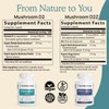 Real Mushrooms Vitamin D2 (120 ct) Vegan Vitamin D Supplements - Organic Vitamin D Vegan Supplement 1000 IU Shiitake & Agaricus Mushroom Complex - Vegan Vitamins for Bone & Muscle Health, Energy, Mood