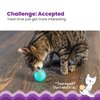 Catstages Ball Treat Stuffer Interactive Cat Toy, Green