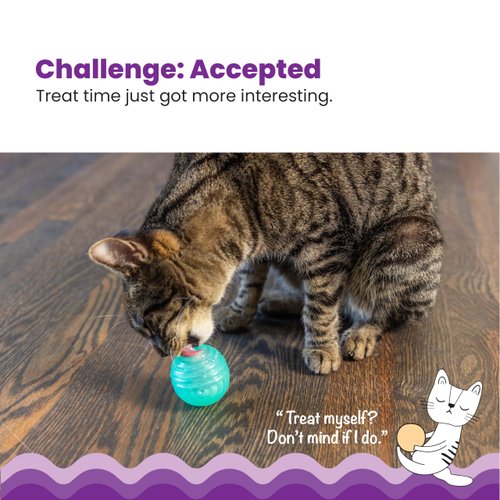 Catstages Ball Treat Stuffer Interactive Cat Toy, Green