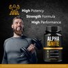 (5 Pack) Alpha Ignite Capsules - Official Alpha Ignite Pills Advanced Formula Support Maximum Strength, Natural AlphaIgnite Supplement for Overall Health & Wellness Reviews, 300 Capsules for 5 Months