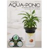 Penn-Plax (APON1) Aquaponic Planter and Aquarium for Betta Fish Tank Promotes Healthy Hydroponic Environment for Plants and Fish