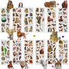 Creammuffin Stickers Party Supplies Kits for Toddlers, Children 3D Puffy Animal Stickers Tiger Sticker- Over 180 Stickers (Real Animal)
