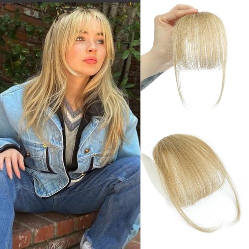 HAIRCUBE Bangs Hair 100% Human Hair Wispy Bangs, Hair Clip in Bangs, Fringe with Temples, Hairpieces for Women, Clip on Air Bangs, Hair Extension for Daily Wear Light Blonde 18/613#