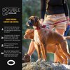 EzyDog Double Up Premium Nylon Dog Collar with Reflective Stitching - Double D-Rings for Superior Strength, Safety, and Comfortability - Non-Rusting and Includes an ID Attachment (Medium, Black)