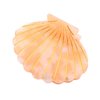 Fantasy Sea Shell Hair Clip,Acetate Hair Clip,Small Claw Clip for Women,Orange, 1 Count (Pack of 1)
