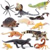 Toymany Reptile Animal Figurine Toys Set, 12 PCS Desert Amphibians Animal Figures with Komodo Dragon Lizard Snake Chameleon Rainforest Cold Blooded Animals Figures Party Favor for Kids
