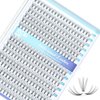 IECILI Lash Clusters Individual Lashes - 280pcs 10D Cluster lashes for DIY Lash Extensions -Super Thin & Soft Eyelashes 8-14mm C Curl Cluster Eyelash Extensions for Natural Wispy Look