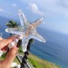 Bartosi Starfish Hair Clips Mermaid Hair Accessories Sea Star Hair Barrettes Beach Wedding Hair Accessories for Women (Pack of 2)