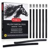 PANDAFLY Willow Charcoal Sticks, Soft, Black Artist Vine Charcoal for Artists, Beginners, Students, Great for Sketching, Drawing, Shading and Fine Art, 7-9mm, 25 Pack