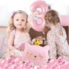 Cat Birthday Decorations, Cat Balloons, Pink 3 Balloon Number 40inch, Cat Themed Birthday Party Decorations, 3rd Birthday Decorations For Girl