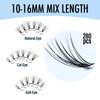 IECILI Lash Clusters Individual Lashes - 280pcs 30D Cluster lashes for DIY Lash Extensions -Super Thin & Soft Eyelashes 10-16mm C Curl Cluster Eyelash Extensions for Natural Wispy Look