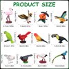 Warmshine 24 Pcs Realistic Bird Animals Figurines Mini Bird Figures Model Eagle Parrot Robin Owl Plastic Bird Figures Toys Fairy Garden Accessories Dollhouse Birthday Cake Toppers