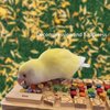 Bird Chewable Keyboard Toy,Wooden Biting Training and Foraging Bird Toys,Bird Cage Accessories, Parakeet Toys (STARTOP1)