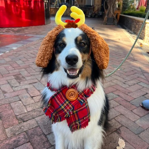 Luvfamday Deer Antler Headband with Dog Ears Deer Horn Brown Furry Headpiece Reindeer Costume Accessories Funny Party Favors Women Men