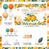 Two Little Cuties Baby Shower Decorations for Twins - Two Little Cuties are on the Way Orange Balloon Arch Kit with Backdrop Cake Topper, Tangerine Theme Gender Reveal Baby Shower Party Supplies