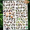 108 PCS T Rex Dinosaur Temporary Tattoos Birthday Party Decorations Favors Supplies Decor 3D Tyrannosaurus Rex Dino Trex Cute Stickers For Toddller Boys Girls Gift School Prizes Rewards