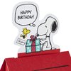 Hallmark Pop Up Peanuts Snoopy Birthday Greeting Card (Snoopy Dog House)
