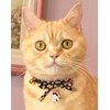 Necoichi Zen Hariko Charm Cat Collar (Black)