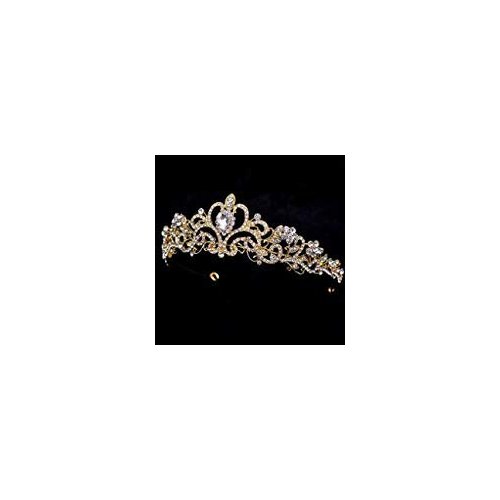 Quinceanera Princess Crown for Adult Rhinestone Tiara Birthday Bridal Pageant (Gold)