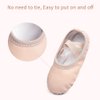 Stelle Girls Ballet Shoes Boys Toddler Soft Leather Dance Slippers for Toddler/Little Kid/Big Kid(Ballet Pink,7MT)
