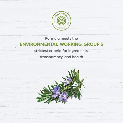 Avalon Organics Lavender Bath and Shower Gel, 12-Ounce Bottle (Pack of 2)