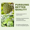 (3 Pack) Soursop Graviola Liquid Drops 2000mg，Immune Boost，Cell Support & Regeneration，Natural Antioxidant，Soursop Extract - 98%, Sugar/Gluten Free, Natural Flavor, 6 Fl Oz