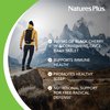 NaturesPlus Herbal Actives Black Cherry, Extended Release - 750 mg Anthocyanins, 30 Vegetarian Tablets - 30 Servings