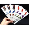 Premium Bird Temporary Tattoos, Party Favors: Hummingbird, Owls, Parrot, Flamingo, BlueJay, Cardinal
