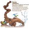 Hamiledyi Reptile Driftwood Branch Decor Terrarium Ornament Wood Climbing Natural Aquarium Driftwood Decoration for Snake Bearded Dragon Leapord Gecko Lizard Iguana Chameleon