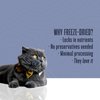 Whole Life Cat Just One Salmon Freeze Dried Cat Treats - Human Grade High Protein Food, Healthy Training Snacks, Freeze Dried Salmon Food Toppers, USA Made Natural Treats - 2.5 oz (Pack of 1)