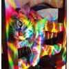 Rainbow Symphony- Rainbow Prism Suncatcher for Window, Axicon Pattern, with Bonus Board Sun Catcher, Made in USA