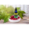 Dr. Rydland's Herbal Supplement | Created by KidsWellness | Safe and Effective for Infants to Adults| Detox & Skin | Relieves Eczema, Rosacea, Acne and Viral Skin Rashes | 2 Ounce Bottle
