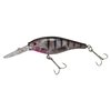Berkley Flicker Shad Fishing Lure, Flashy Ghost, 5/16 oz, 2 3/4in | 7cm Crankbaits, Size, Profile and Dive Depth Imitates Real Shad, Equipped with Fusion19 Hook