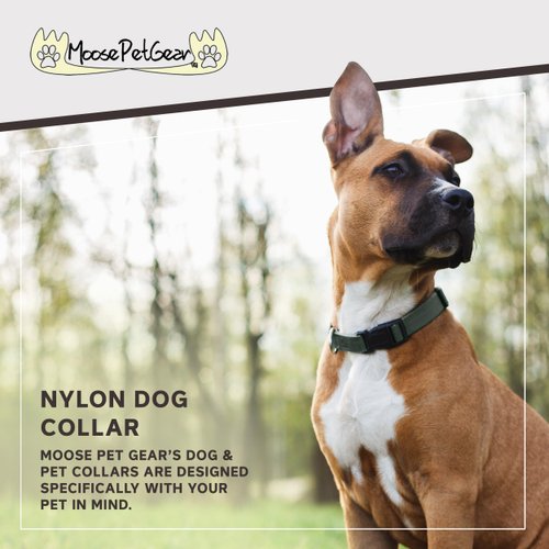 Moose Pet Wear Classic Dog Collar – Adjustable Pet Collars, 1 Inch Wide, Medium, Forest Green