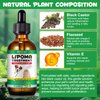 Lipoma Treatment for Dogs & Cats, Soften Fatty Lumps & Bumps in Dog, Castor Oil for Dogs, Pet Massage Oil, Soften Fatty Lumps & Bumps in Dog