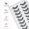 False Eyelashes Wispy 100% Handmade Luxurious Cat Eyelashes Natural Look 10 Pair Wispies Lashes For Daily work and Wedding, Easy to Wear (Bemi Wispy)