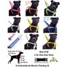 NO DOGS Orange Color Coded Semi-Choke Dog Collar (Not Good with Other Dogs) Prevents Accidents by Warning Others of Your Dog in Advance