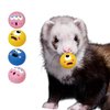 TTMIMIK Ferret Rubber Squeaker Toy Balls Latex Puppy Cat Toy Lovely Interactive Play Tough Teething Toys Big Eyes Printed Ball Washable 4 Pack (4 Pcs)