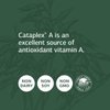 Standard Process Cataplex A - Antioxidant Supplement for Eye Health and Antioxidant Activity with Vitamin A, Magnesium Citrate, Sunflower Lecithin, Oat Flour, Wheat Germ, Ascorbic Acid - 180 Tablets