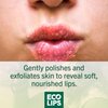 Eco Lips Daily Plumping Lip Mask with Hyaluronic Acid + Organic Vanilla Bean Sugar Lip Scrub 2-pack by Eco Lips 100% Natural. Made in USA