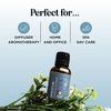 Breathe Blend Essential Oil for Diffuser - Invigorating Breathe Essential Oil Blend with Eucalyptus Peppermint Tea Tree and Mint Essential Oils for Diffusers for Home and Shower Aromatherapy